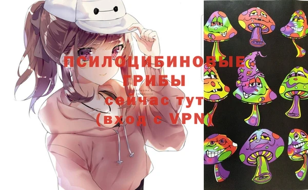 МДПВ Михайловск
