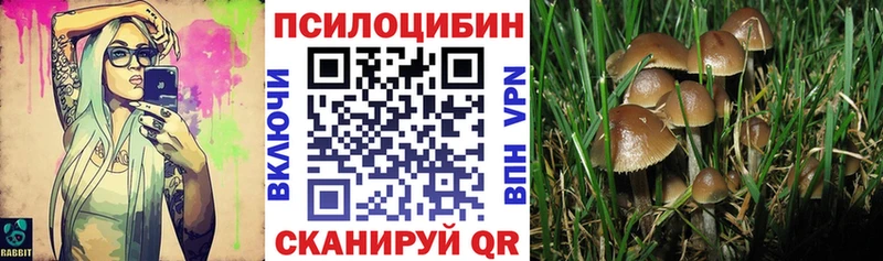 Галлюциногенные грибы Magic Shrooms  Кирсанов 