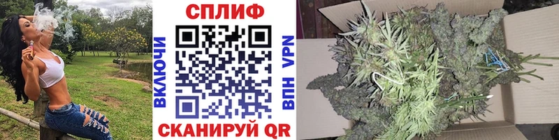 Шишки марихуана индика  Кирсанов 